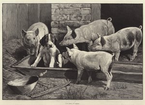 Ott vagyok, ott maradok